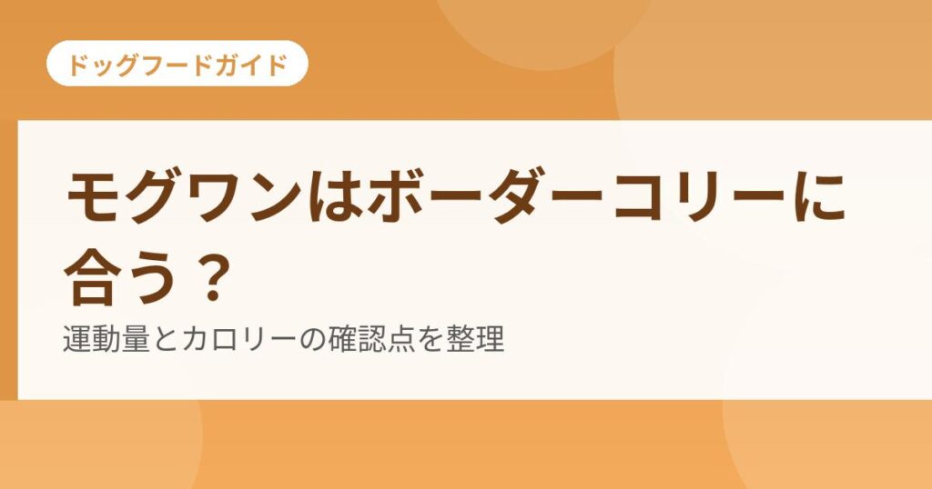 モグワンとボーダーコリーの確認点