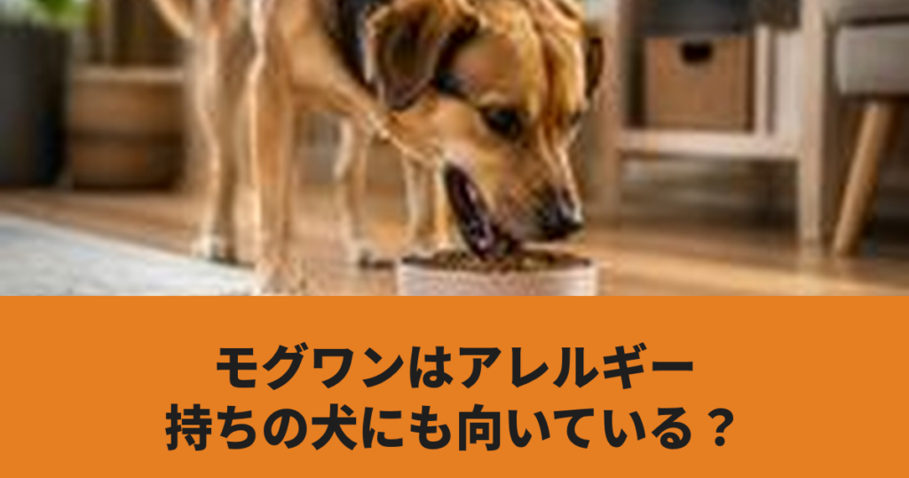 犬がドッグフードを食べている様子