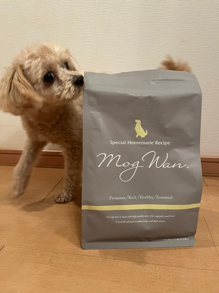 モグワンの袋と小型犬