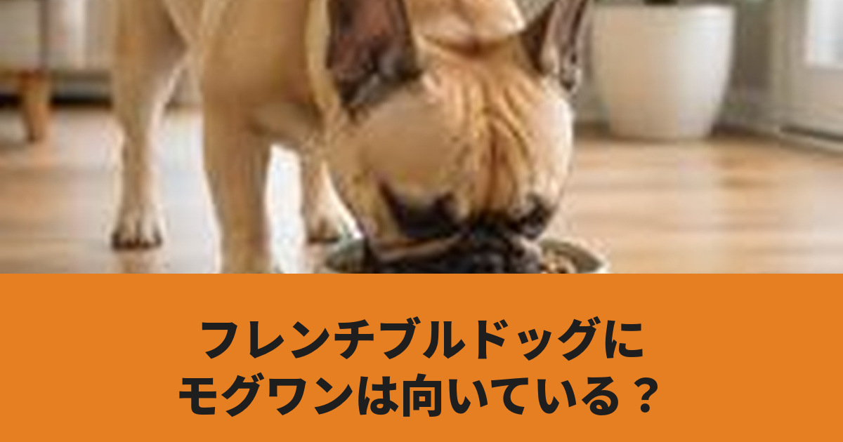 フレンチブルドッグがドッグフードを食べている様子