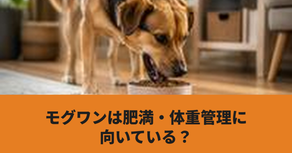 犬がドッグフードを食べている様子