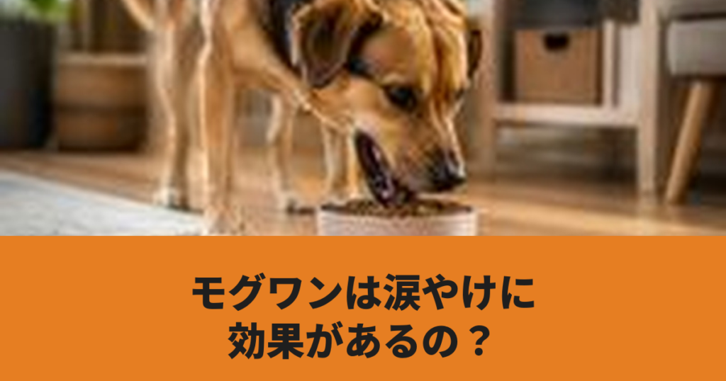 犬がドッグフードを食べている様子