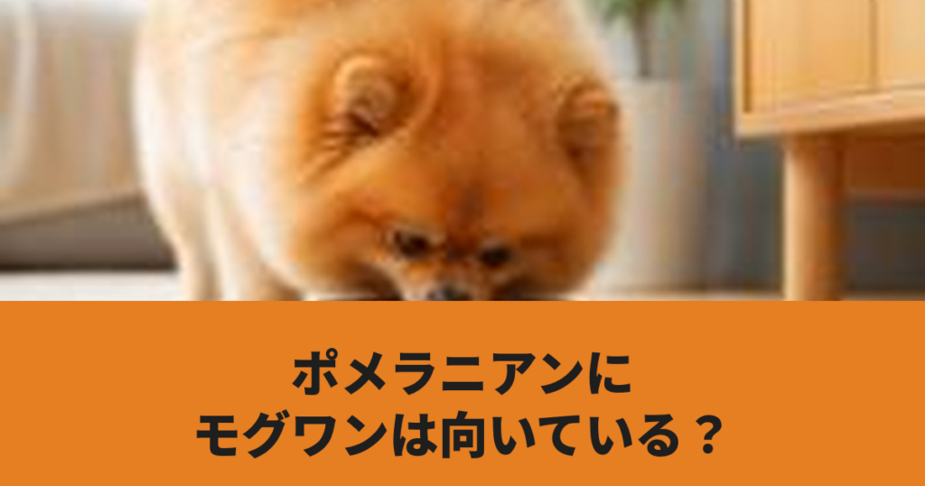 ポメラニアンがドッグフードを食べている様子