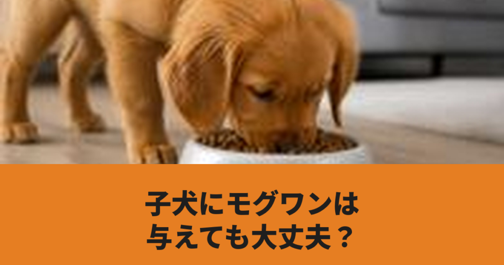 子犬がドッグフードを食べている様子