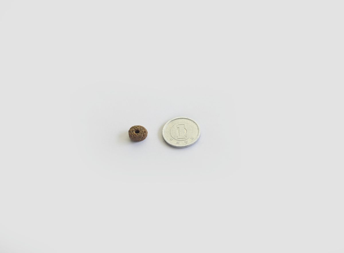 モグワンの粒と硬貨の大きさ比較