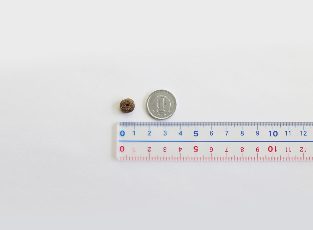 モグワンの粒を定規と硬貨と並べた写真