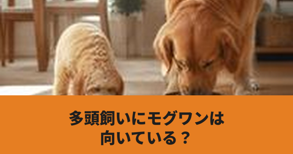 2頭の犬がそれぞれドッグフードを食べている様子