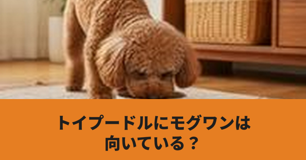 トイプードルがドッグフードを食べている様子