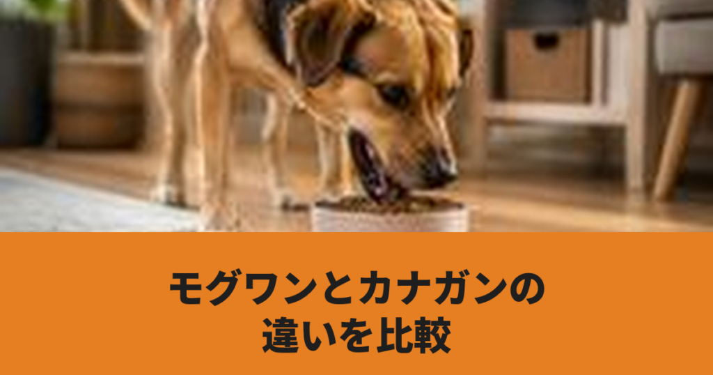犬がドッグフードを食べている様子