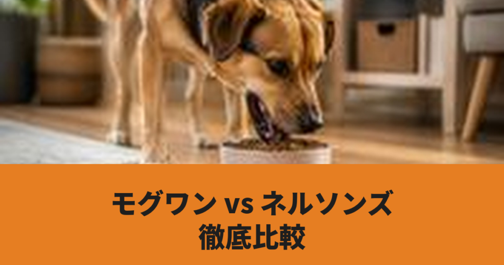犬がドッグフードを食べている様子