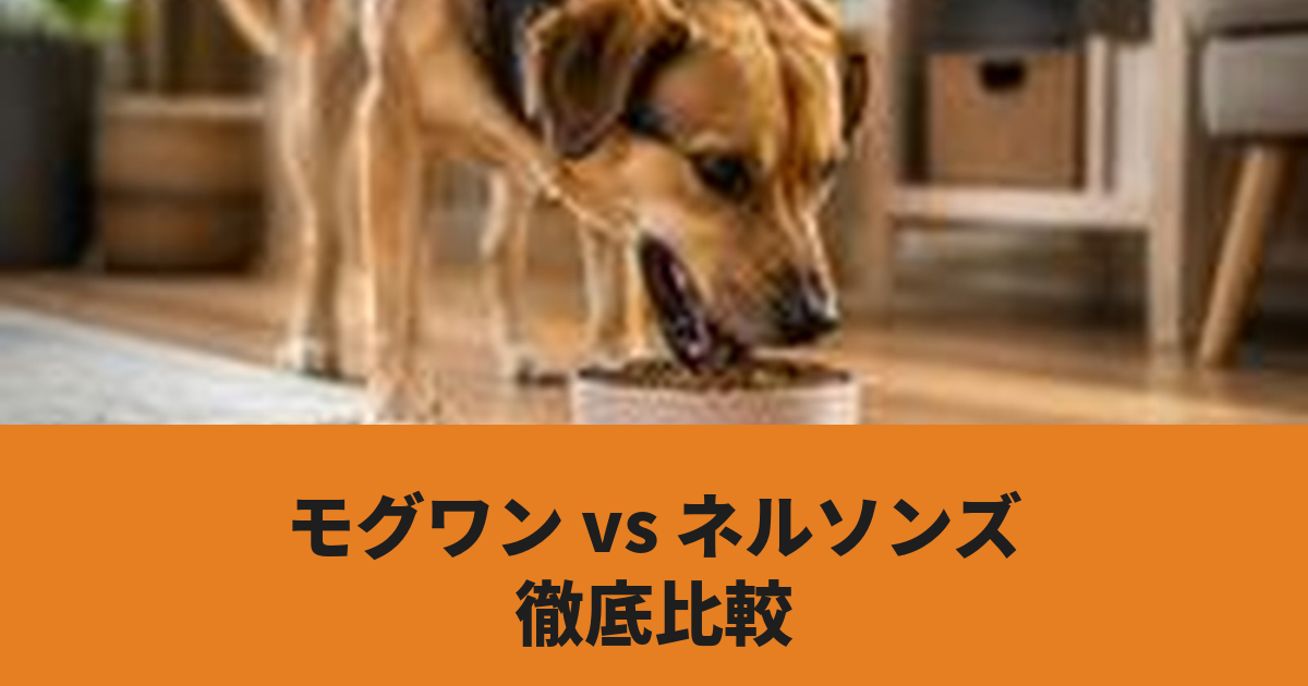 犬がドッグフードを食べている様子