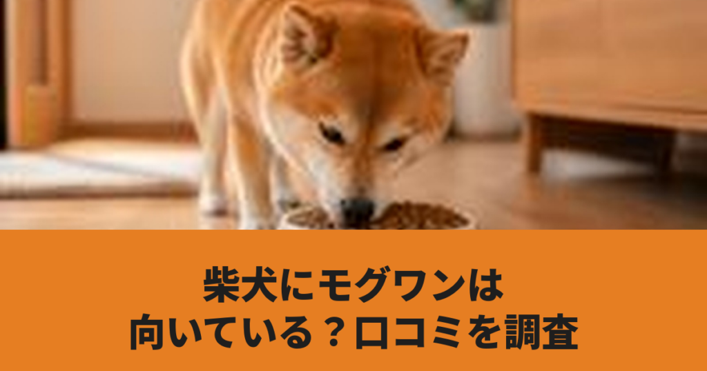 モグワンを食べる柴犬の写真